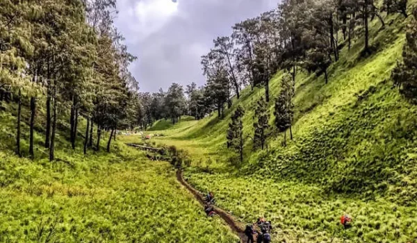 Paket Pendakian Gunung Lawu 2D1N